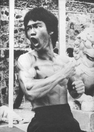 Bruce lee 5